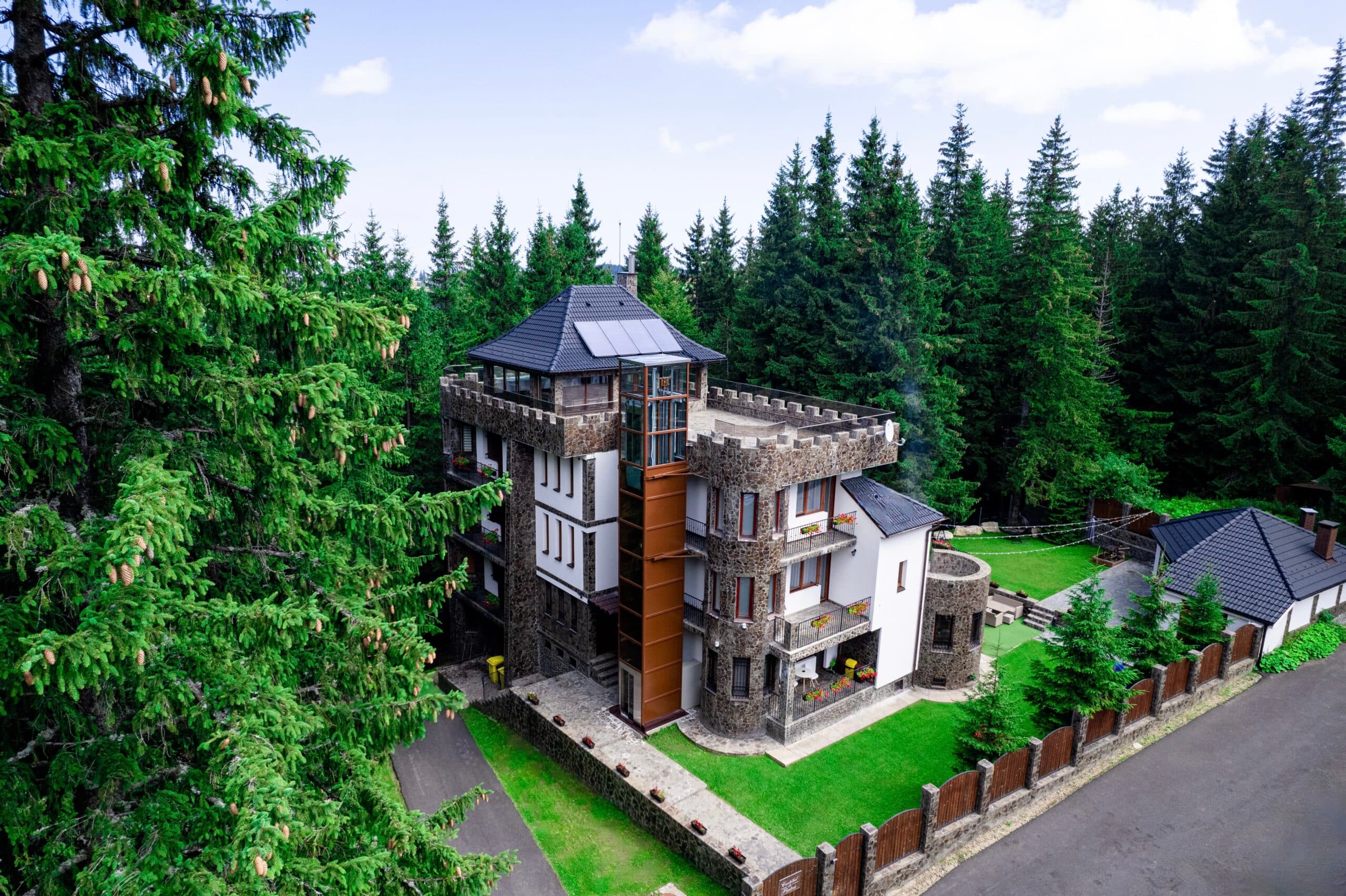 Castelul de Piatra - Paltinis